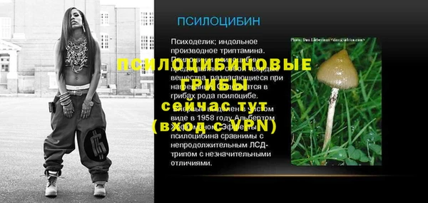 Альфа ПВП Лабытнанги